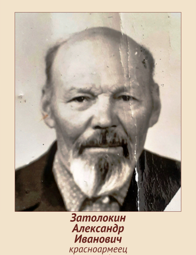 Затолокин Александр Иванович