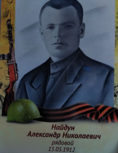 Найдун Александр Николаевич