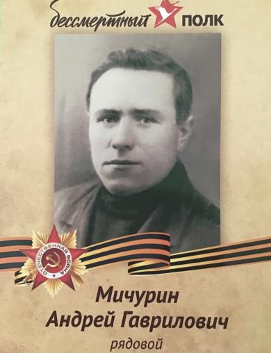 Мичурин Андрей Гаврилович