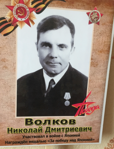 Волков Николай Дмитриевич