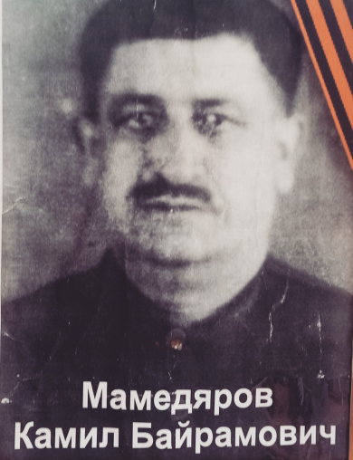 Мамедяров Камил Байрамович
