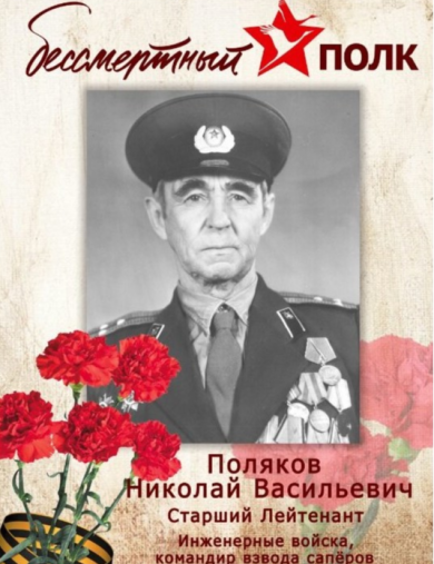 Поляков Николай Васильевич