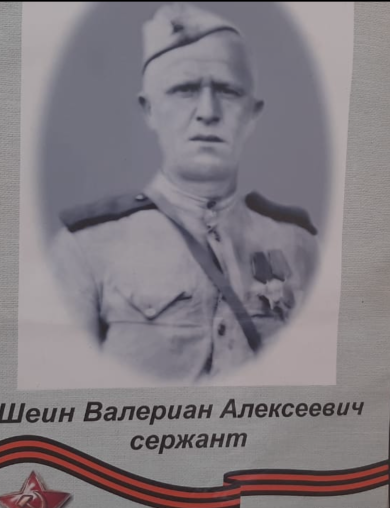 Шеин Валериан Алексеевич