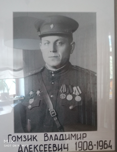 Гомзик Владимир Алексеевич