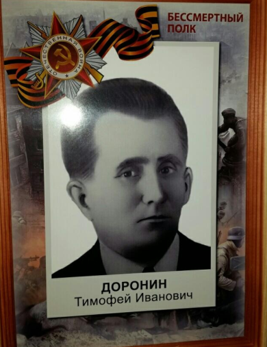 Доронин Тимофей Иванович