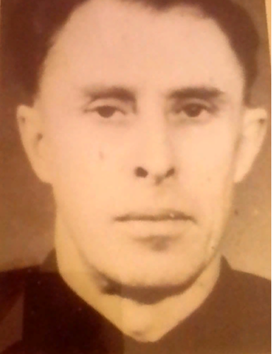 Гришин Александр Фёдорович