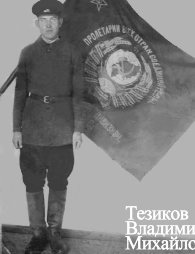 Тезиков Владимир Михайлович