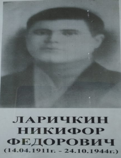 Ларичкин Никифор Фёдорович