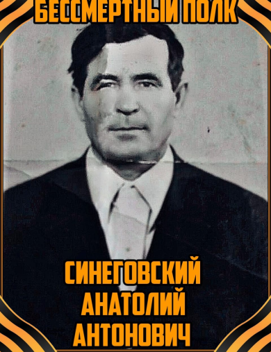 Синеговский Анатолий Антонович