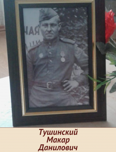 Тушинский Макар Данилович