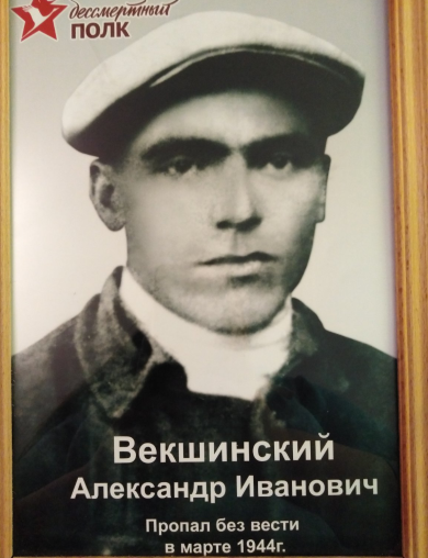 Векшинский Александр Иванович
