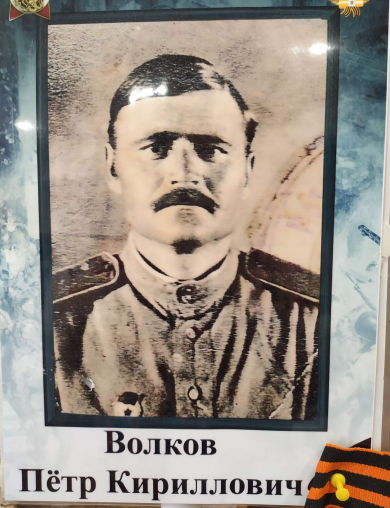 Волков Пётр Кириллович