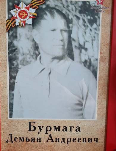 Бурмага Демьян Андреевич