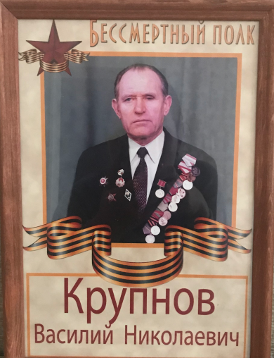 Крупнов Василий Николаевич