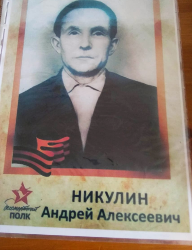 Никулин Андрей Алексеевич