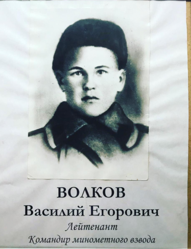 Волков Василий Егорович