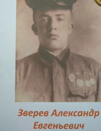 Зверев Александр Евгеньевич