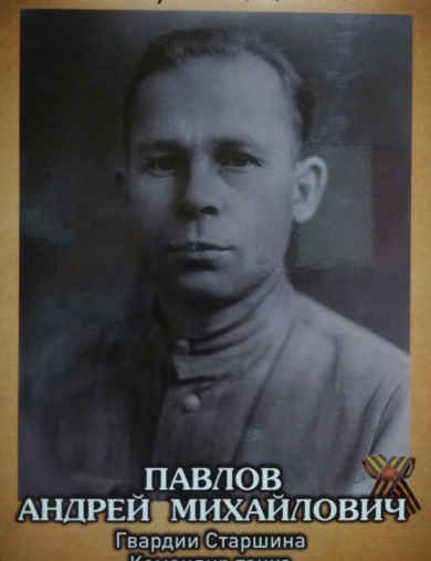 Павлов Андрей Михайлович