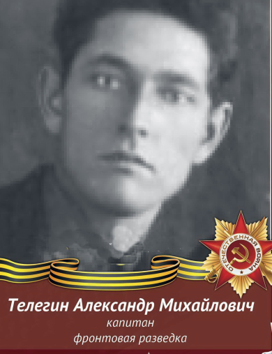 Телегин Александр Михайлович