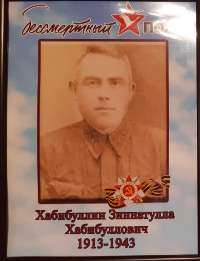 Хабибуллин Зиннатулла Хабибуллович