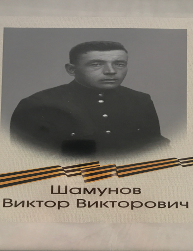 Шамунов Виктор Викторович