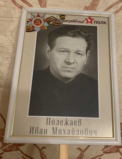 Полежаев Иван Михайлович