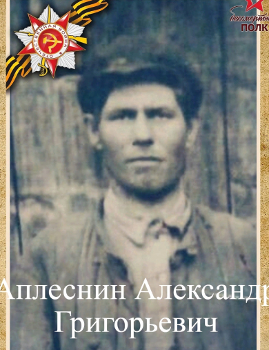 Аплеснин Александр Григорьевич