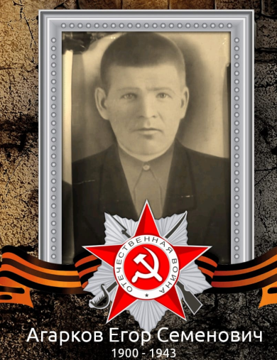Агарков Егор Семенович