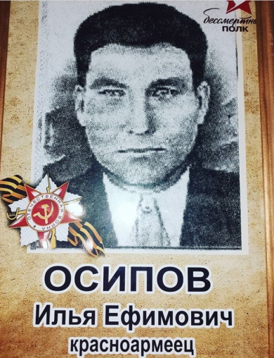 Осипов Илья Ефимович