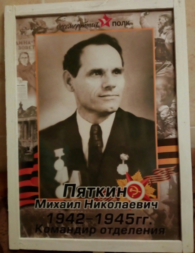 Пяткин Михаил Николаевич