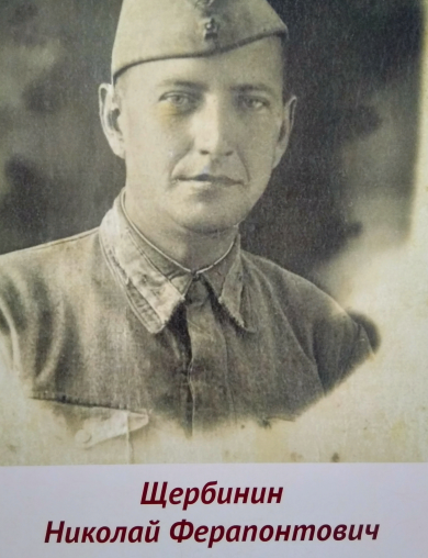Щербинин Николай Ферапонтович