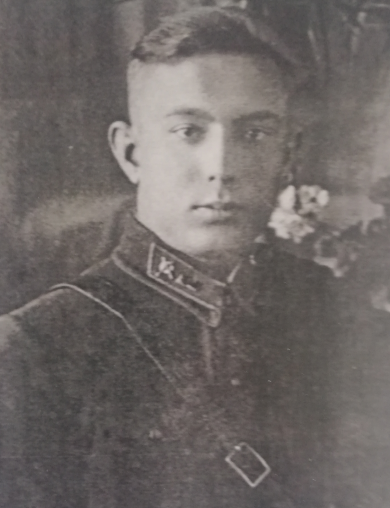 Лузин Владимир Иванович