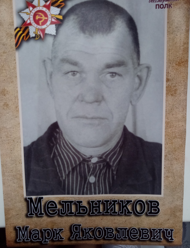Мельников Марк Яковлевич