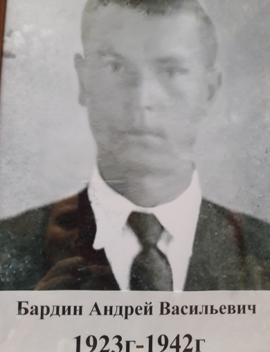 Бардин Андрей Васильевич