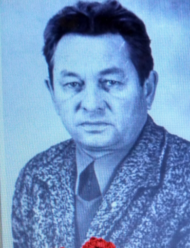 Куликов Владимир Аркадьевич