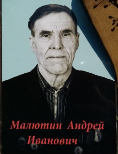 Малютин Андрей Иванович