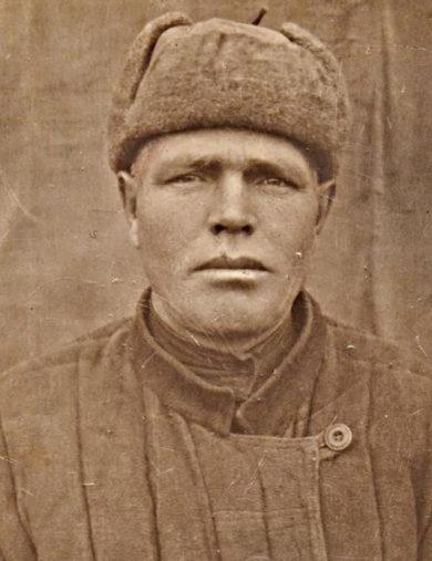 Новиков Дмитрий Илларионович