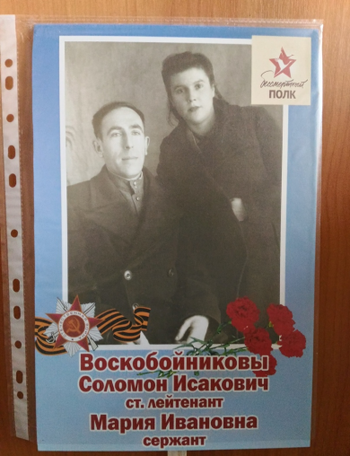 Воскобойников Соломон Исакович