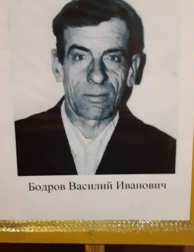 Бодров Василий Иванович