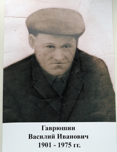 Гаврюшин Василий Иванович