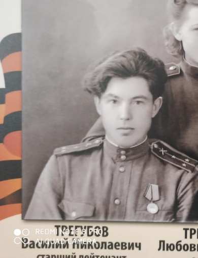 Трегубов Василий Николаевич