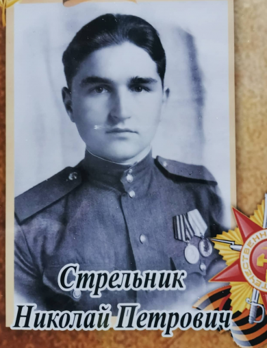 Стрельник Николай Петрович
