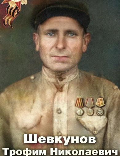 Шевкунов Трофим Николаевич