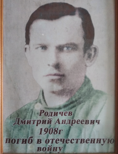 Родичев Дмитрий Андреевич