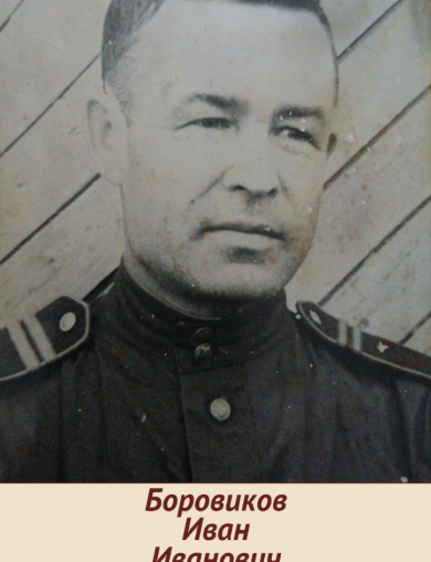 Боровиков Иван Иванович
