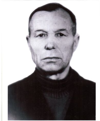 Пучков Василий Никитович