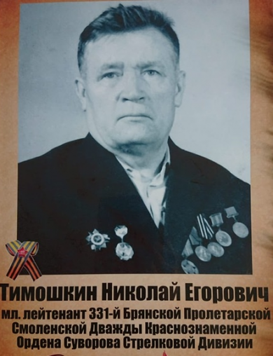 Тимошкин Николай Егорович