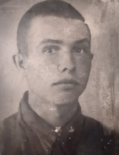 Каргин Павел Иванович
