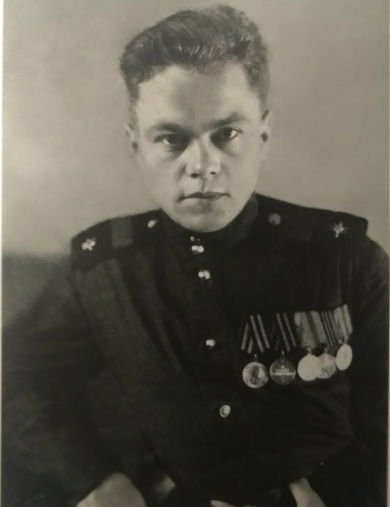 Стадник Александр Дмитриевич