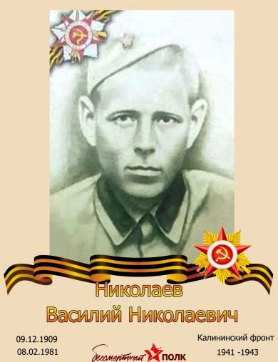 Николаев Василий Николаевич